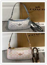 Picture of Coach Handbags _SKUfw241356398fw